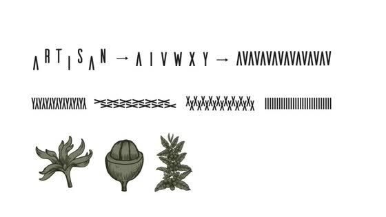 The A of Artisan turning into a chevron pattern, with botanical drawings