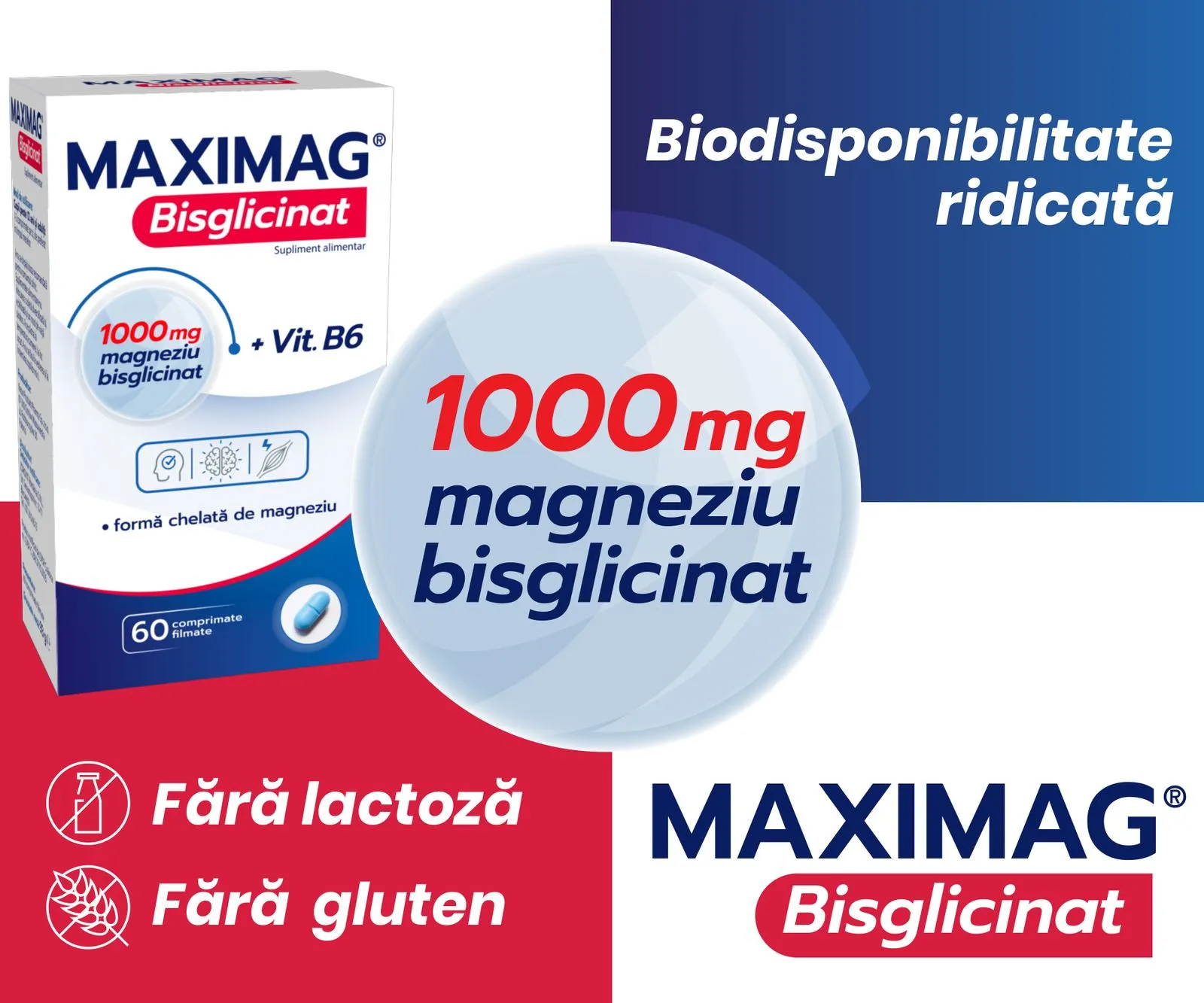 The Maximag Bisglicinat home launcher: the box, 1000 mg magneziu bisglicinat in a bubble, Fără lactoză and Fără gluten on red