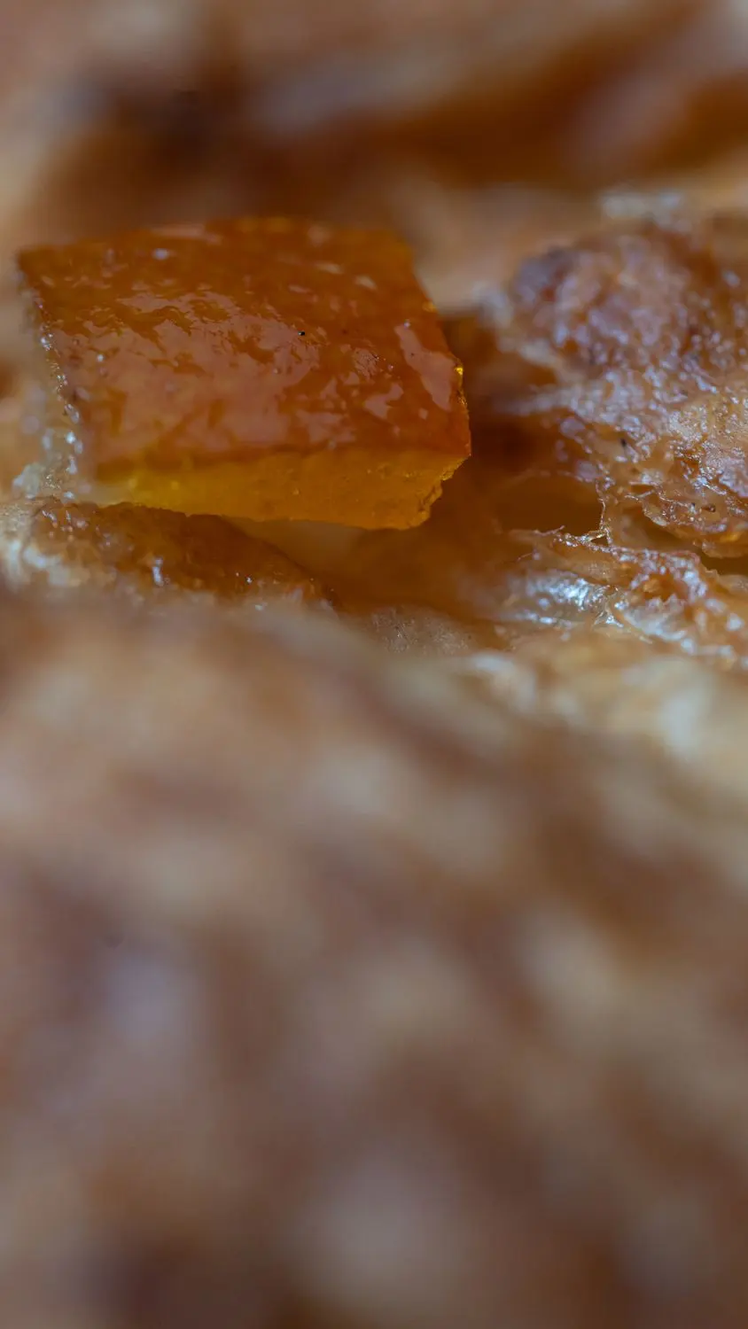 The layers, macro