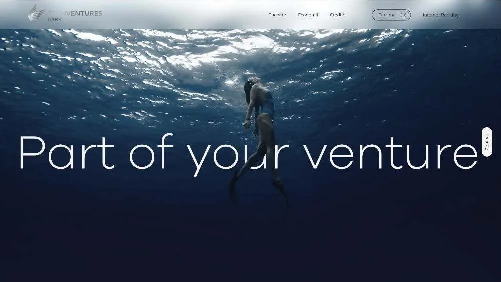 Website hero: a diver, Part of your venture