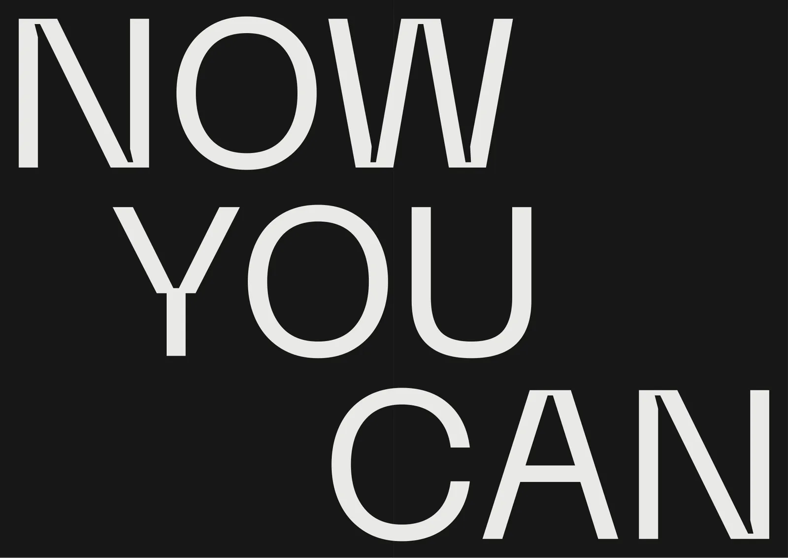 NOW YOU CAN in large white capitals across two pages