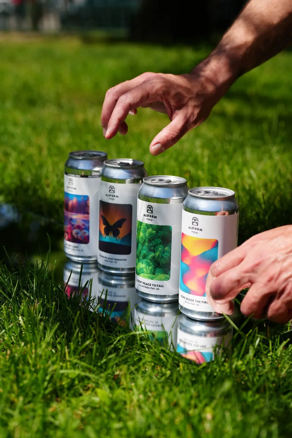 Hands lining up cans on the grass