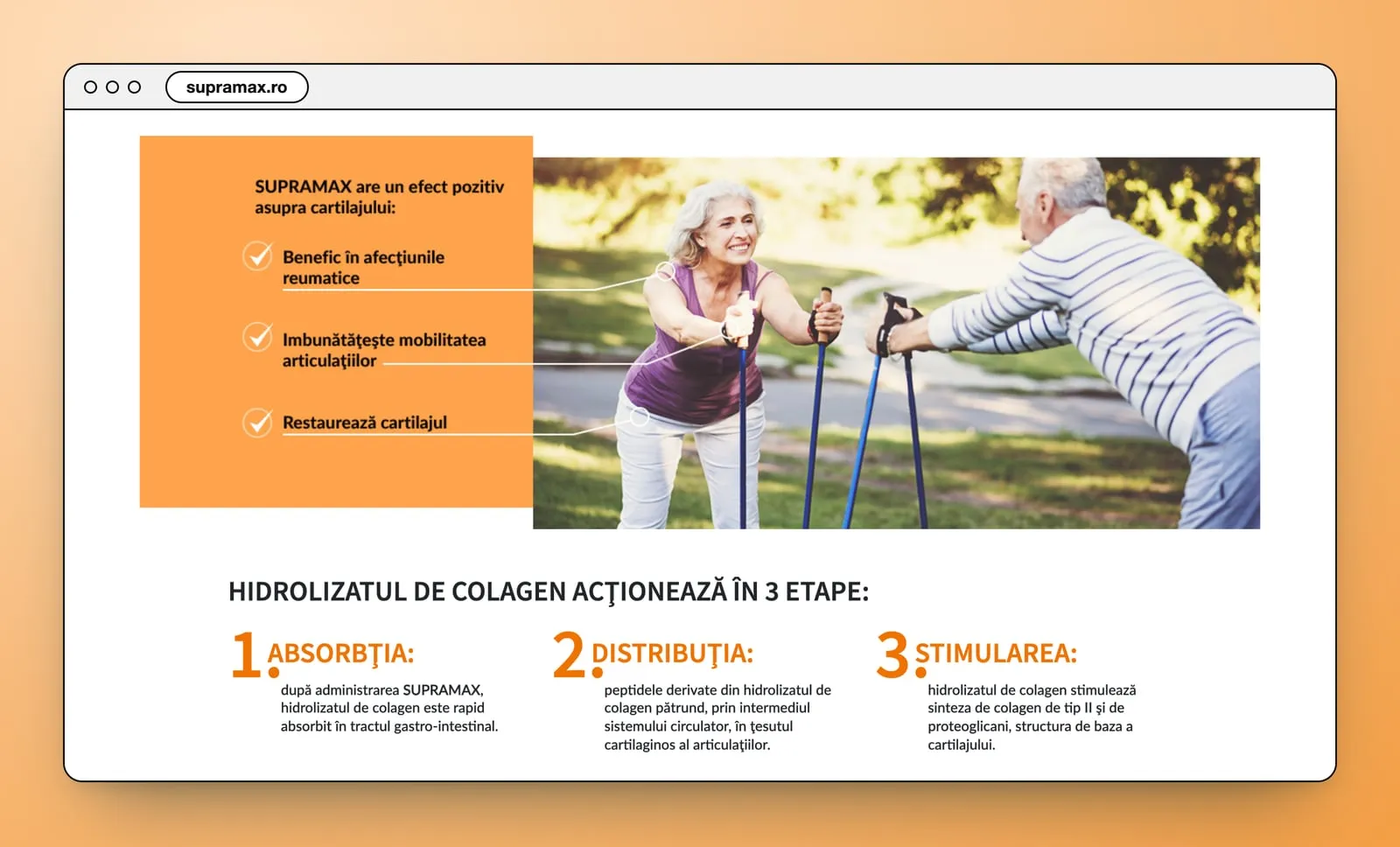 An orange panel with three ticked lines about cartilage beside a photo of an older couple Nordic walking in a park, and Hidrolizatul de colagen acționează în 3 etape below: Absorbția, Distribuția, Stimularea