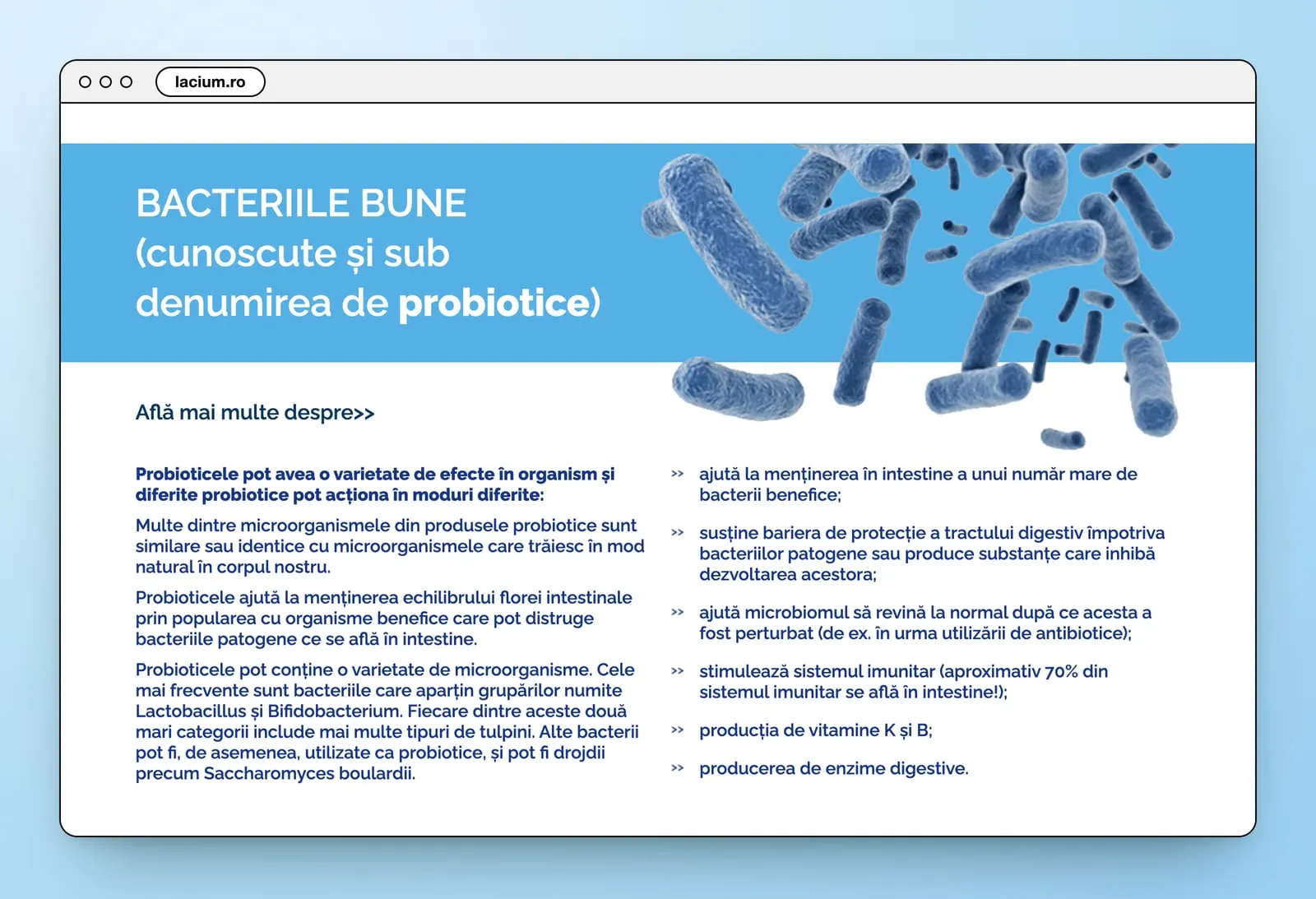 Bacteriile bune, cunoscute și sub denumirea de probiotice: a blue band of drawn bacteria above two columns of text