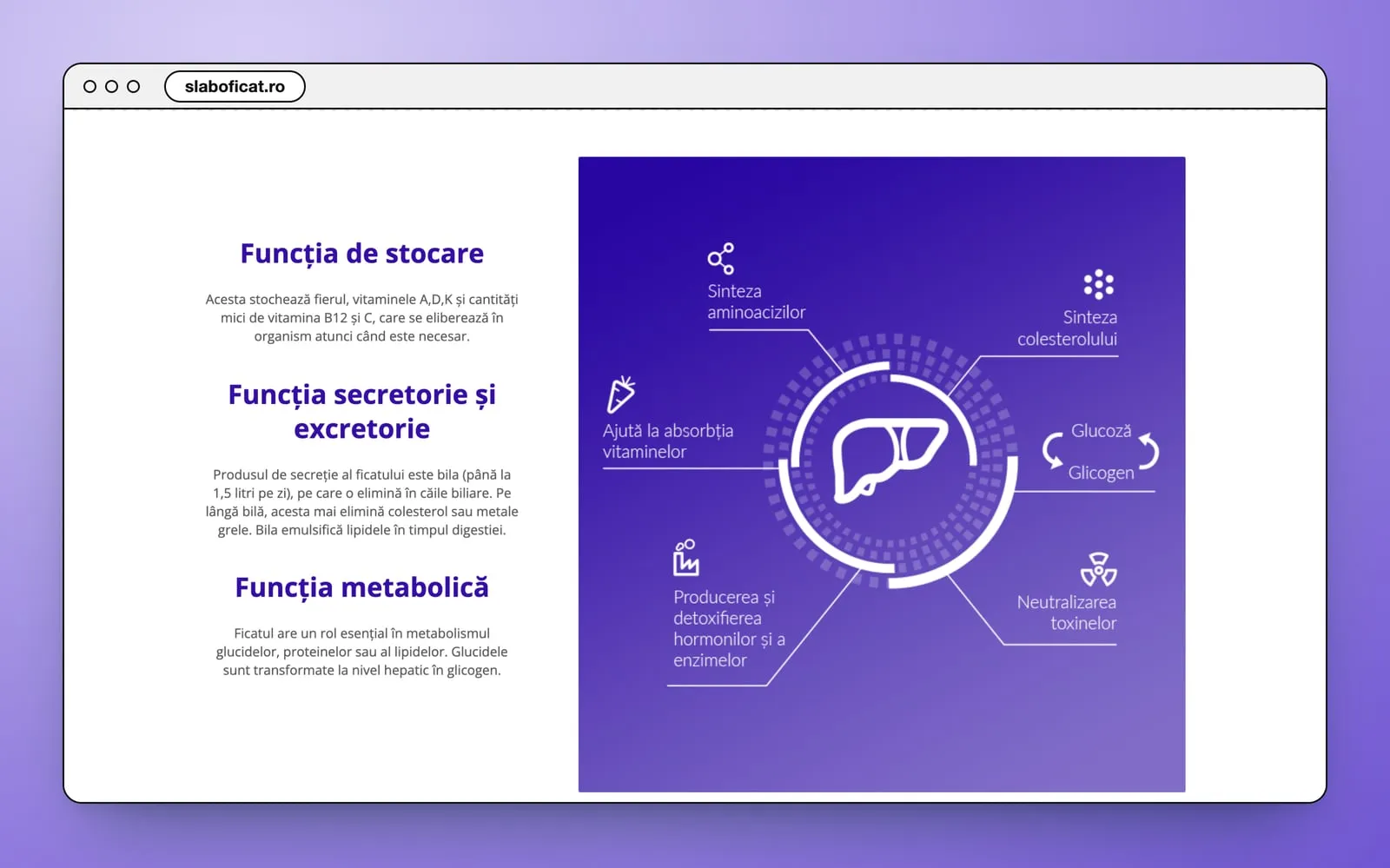 The liver's functions: Funcția de stocare, Funcția secretorie și excretorie and Funcția metabolică in violet headings, beside a violet panel with the liver in a ring and six functions around it