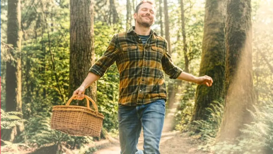 A man in a checked shirt walks through a sunlit forest with a wicker basket