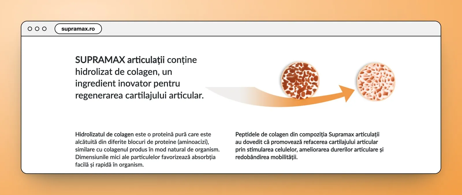 SUPRAMAX articulații conține hidrolizat de colagen: the line in large type, an orange arrow between two circles of bone tissue, and two paragraphs below