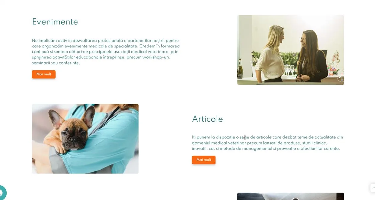 Secțiuni ale site-ului pentru evenimente și articole