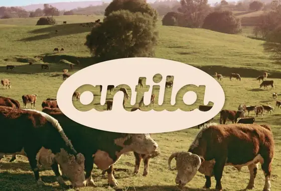 Antila